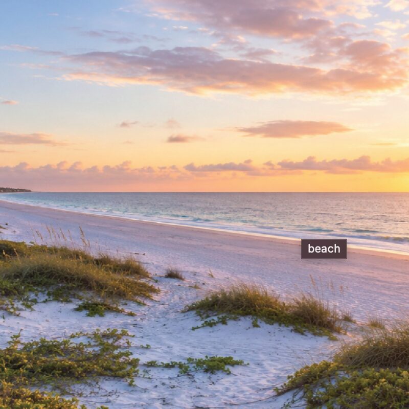 beach sunset sq