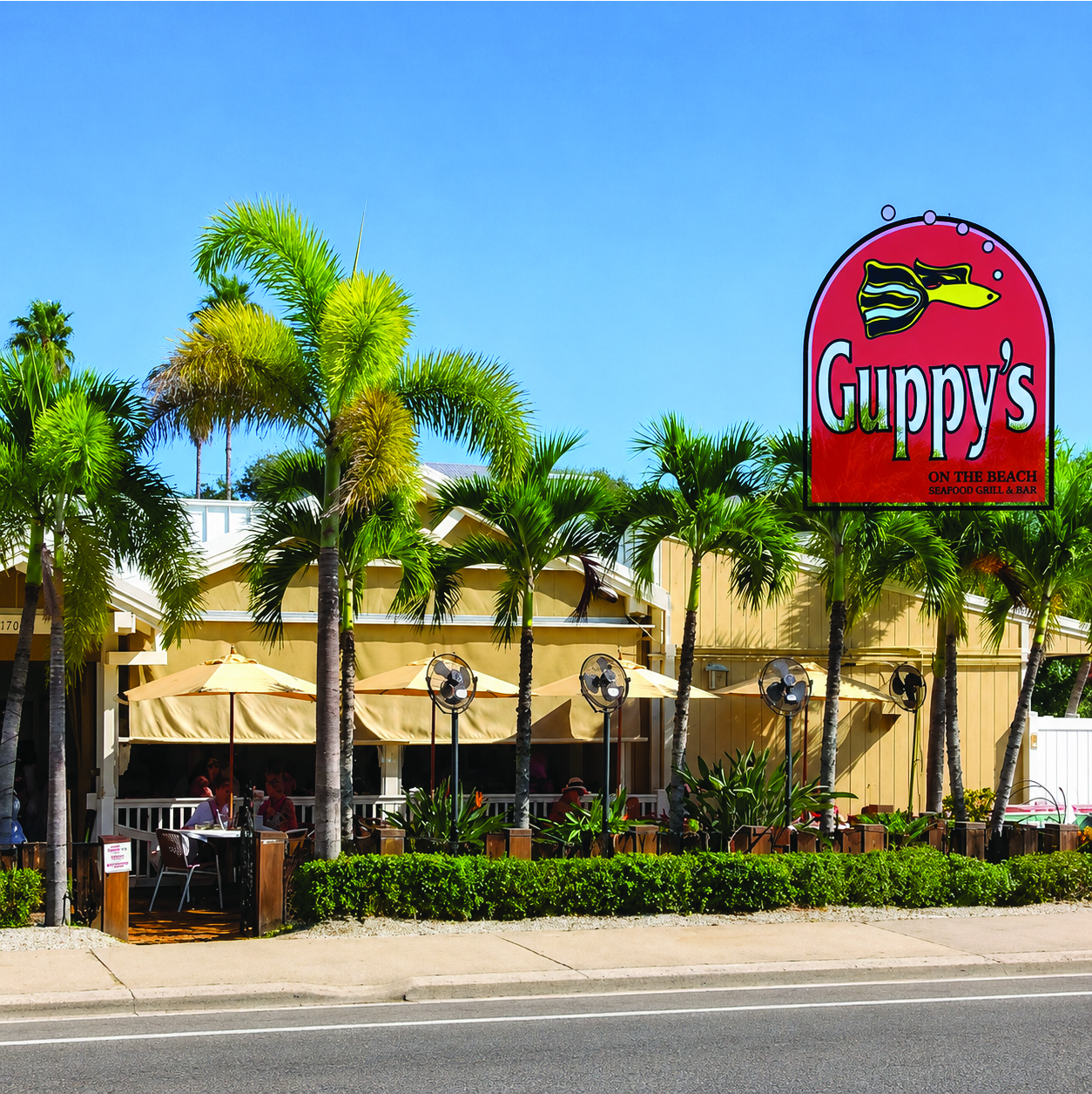 guppys